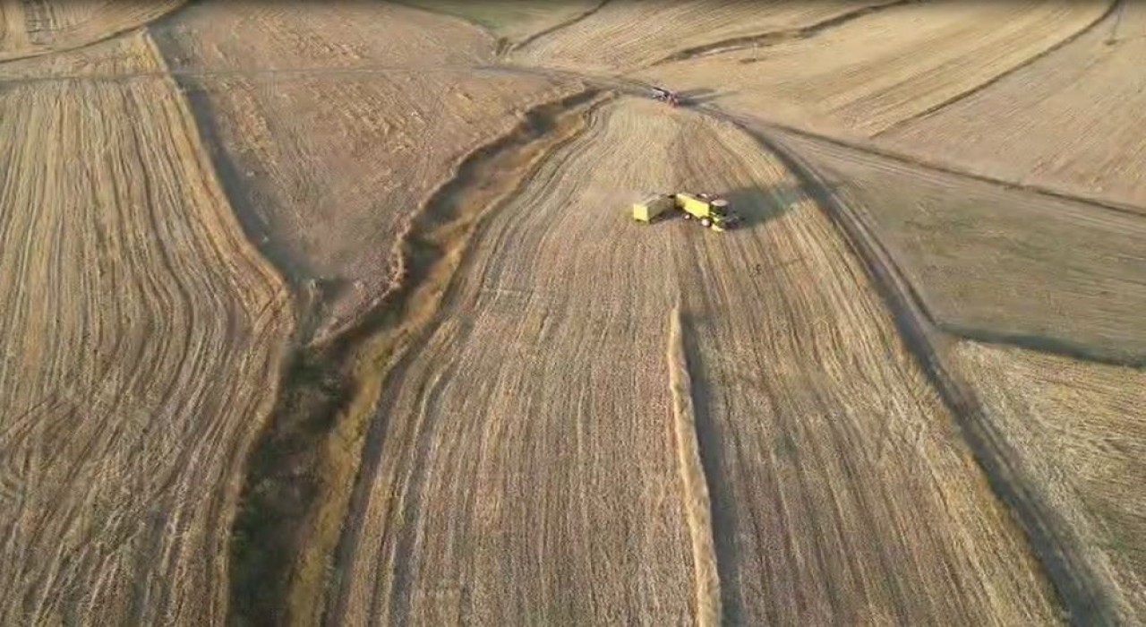 Ardahanda arpa ve buğday hasadı sürüyor