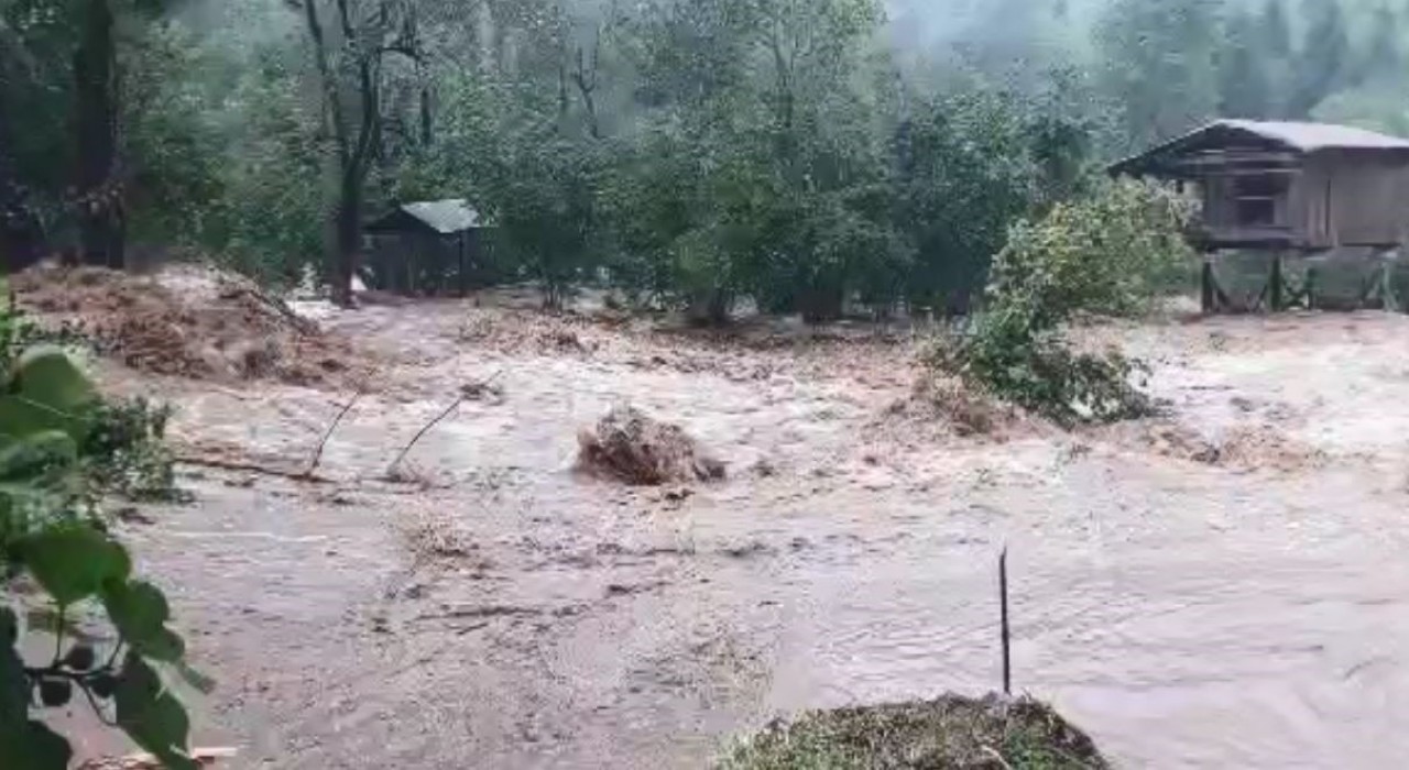 Artvinde sağanak yağış sele neden oldu