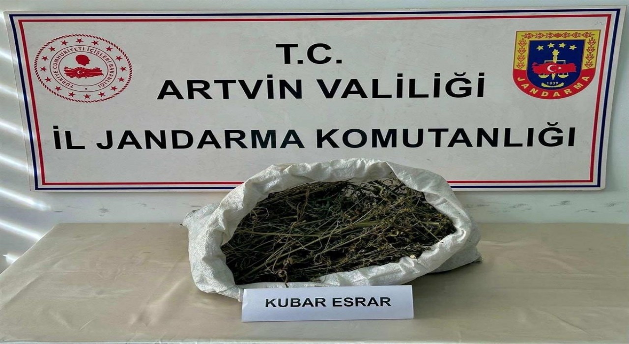 Artvinde uyuşturucu operasyonu