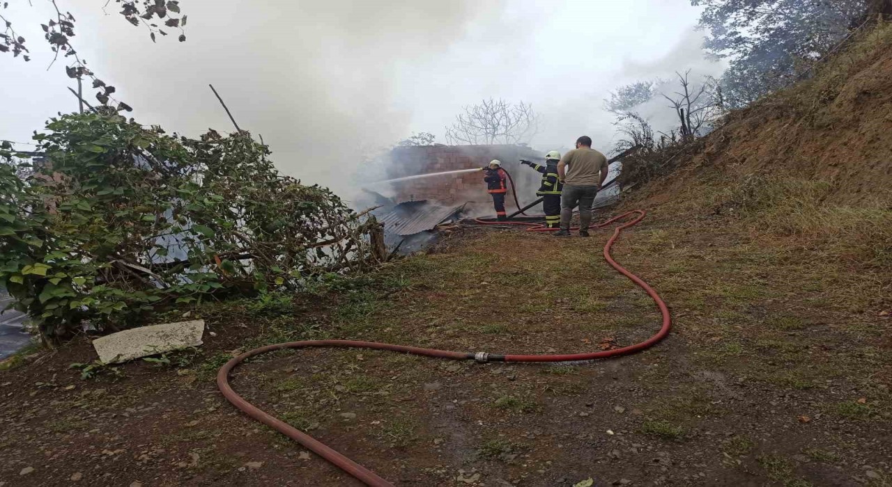 Artvinde yangın paniği: 4 ev küle döndü