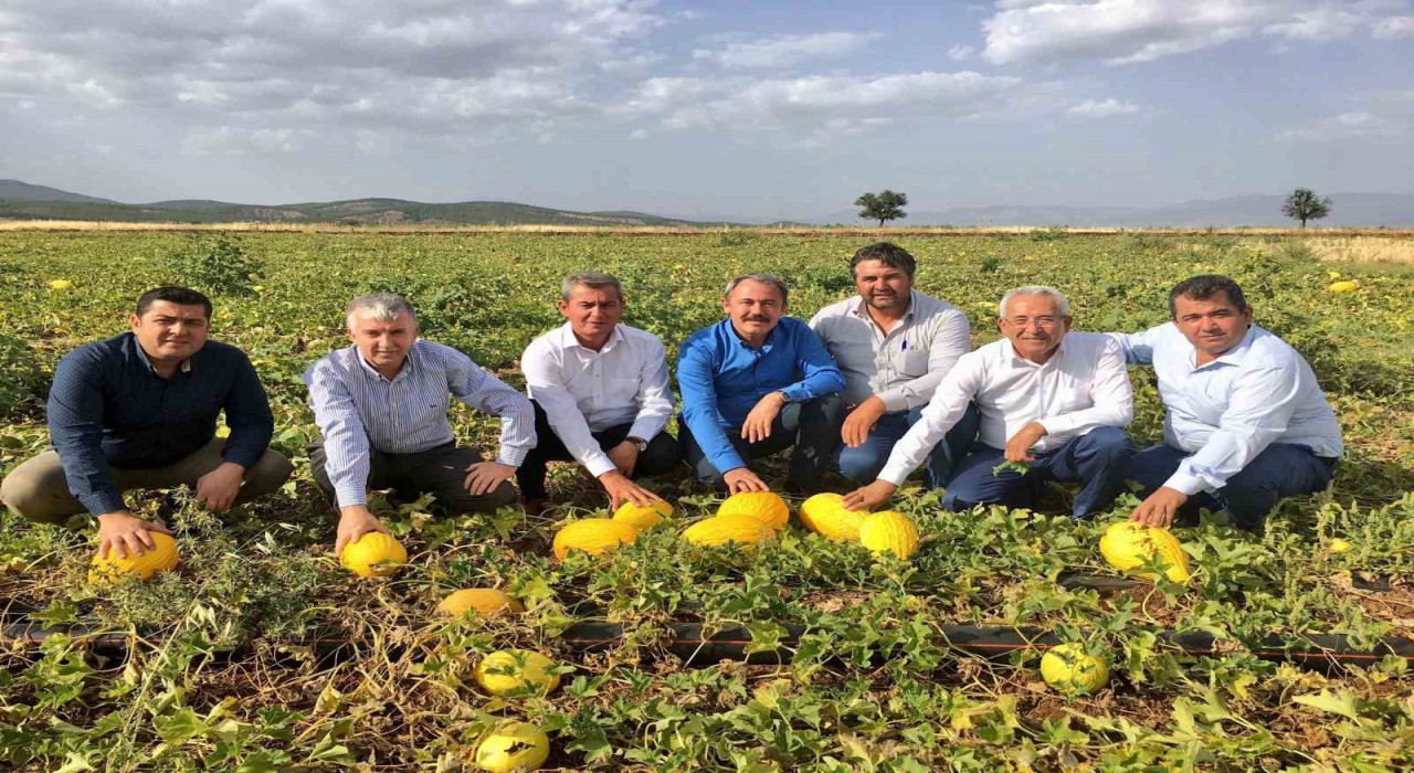 Asırlık miras Acıpayam kavunu tescillendi