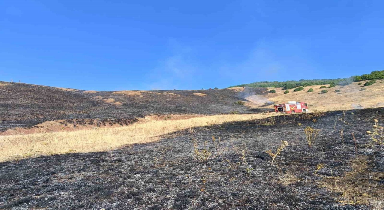 Aşkale Güneyçam Köyünde anız yangını: 100 dönüm alan kül oldu