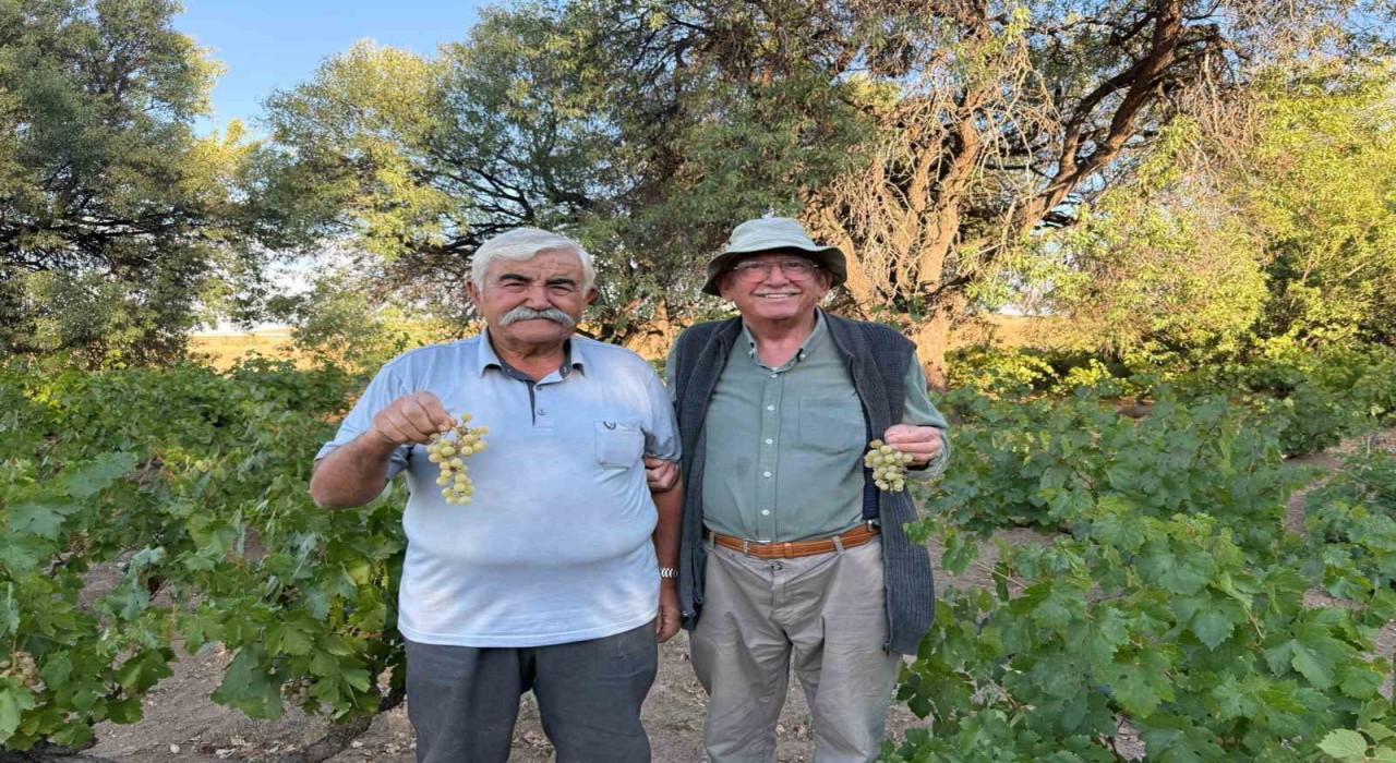 Ata tohumundan elde edilen üzümleri lezzetiyle dikkat çekiyor