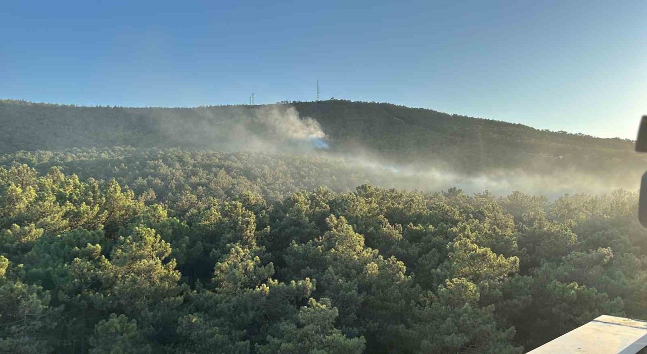 Ataşehir Kayışdağı ormanında yangın