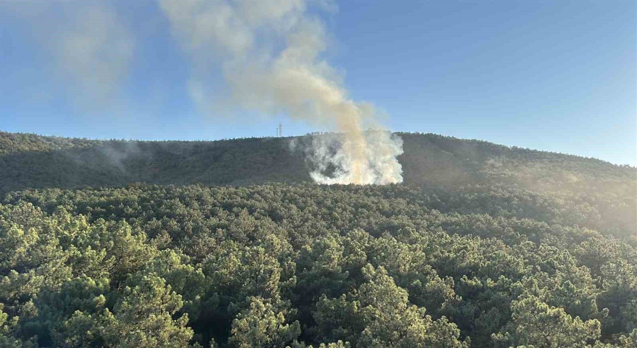 Ataşehirde orman yangını, büyümeden söndürüldü