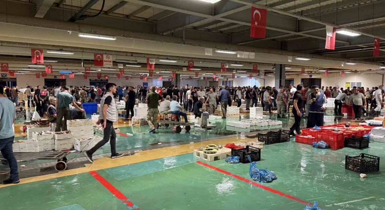 Av yasağının bitmesiyle İstanbulda balıkçılık sezonu resmen başladı