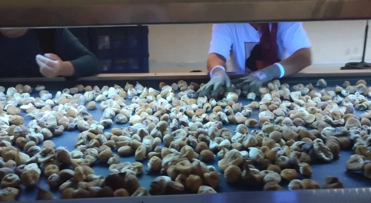 Aydında incir depoları denetlendi