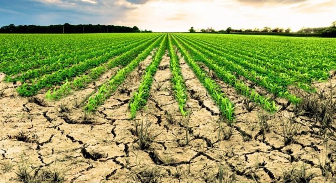 Aydında işlenmeyen tarım arazilerinin listesi ilan edildi