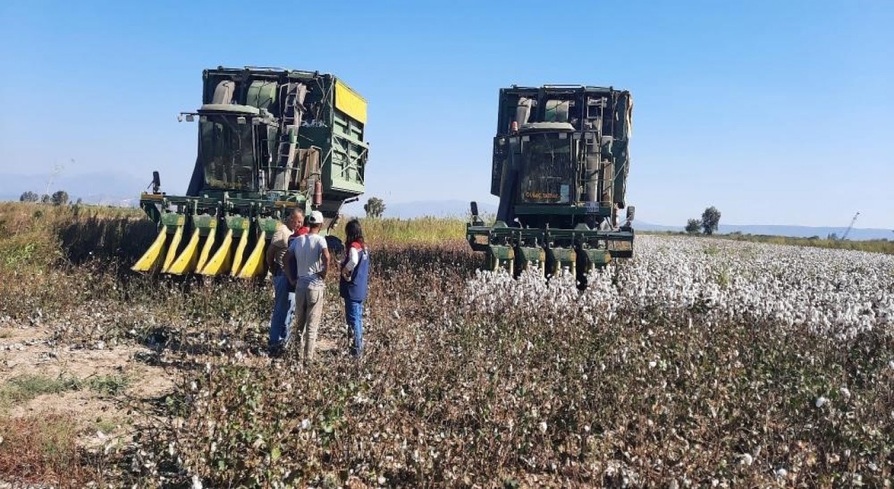 Aydında pamuk toplama fiyatı belirlendi