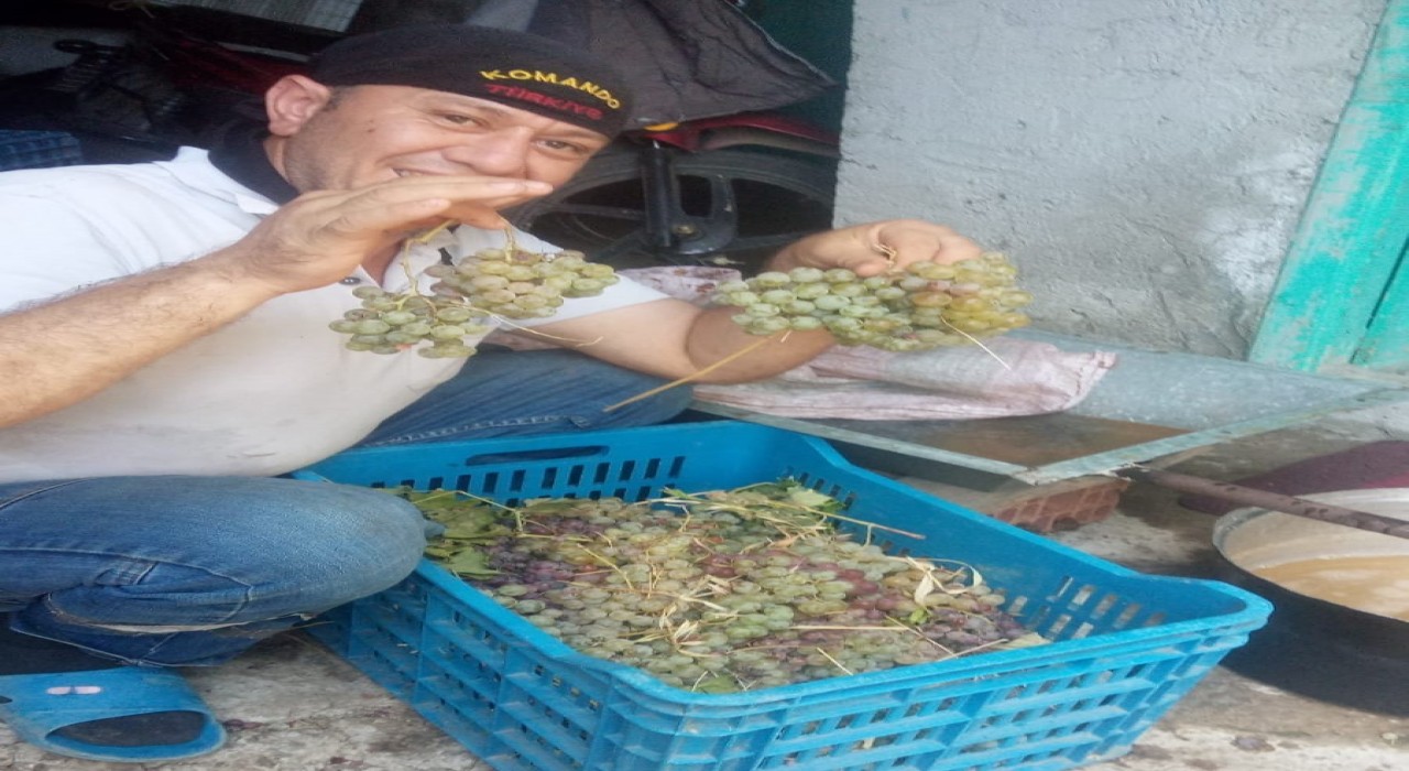 Aydında pekmez yapım sezonu başladı