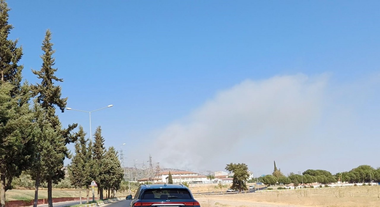 Aydında zirai alan yangını