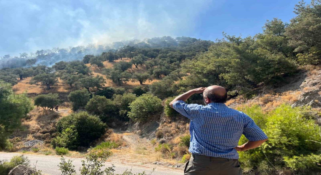 Aydında zirai alan yangını: 30 dönüm alan zarar gördü