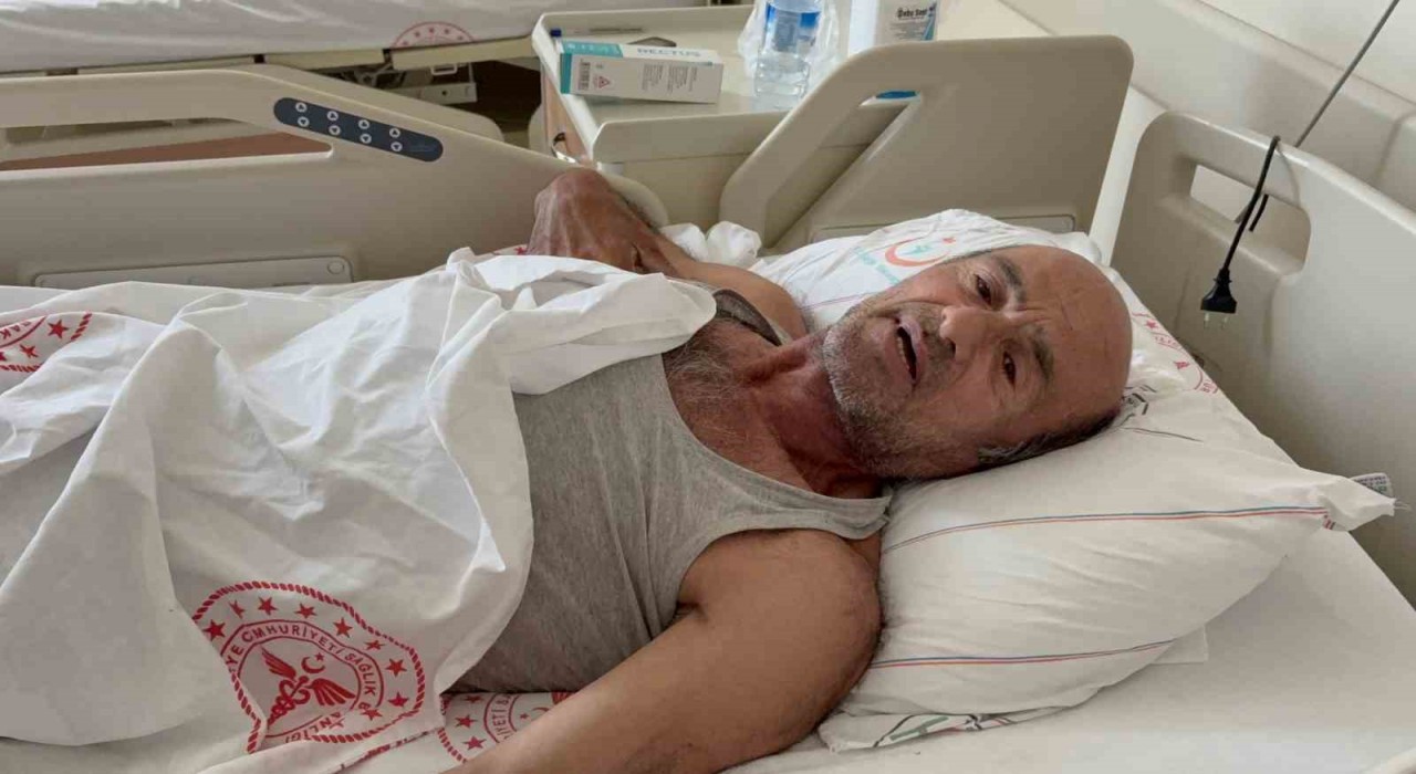 Ayı saldırısına uğradı: Canını ağaca tırmanarak kurtardı