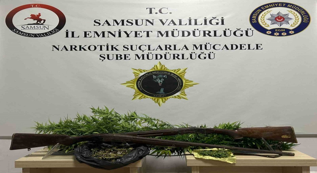 Bafrada 33 kök Hint keneviri ele geçirildi