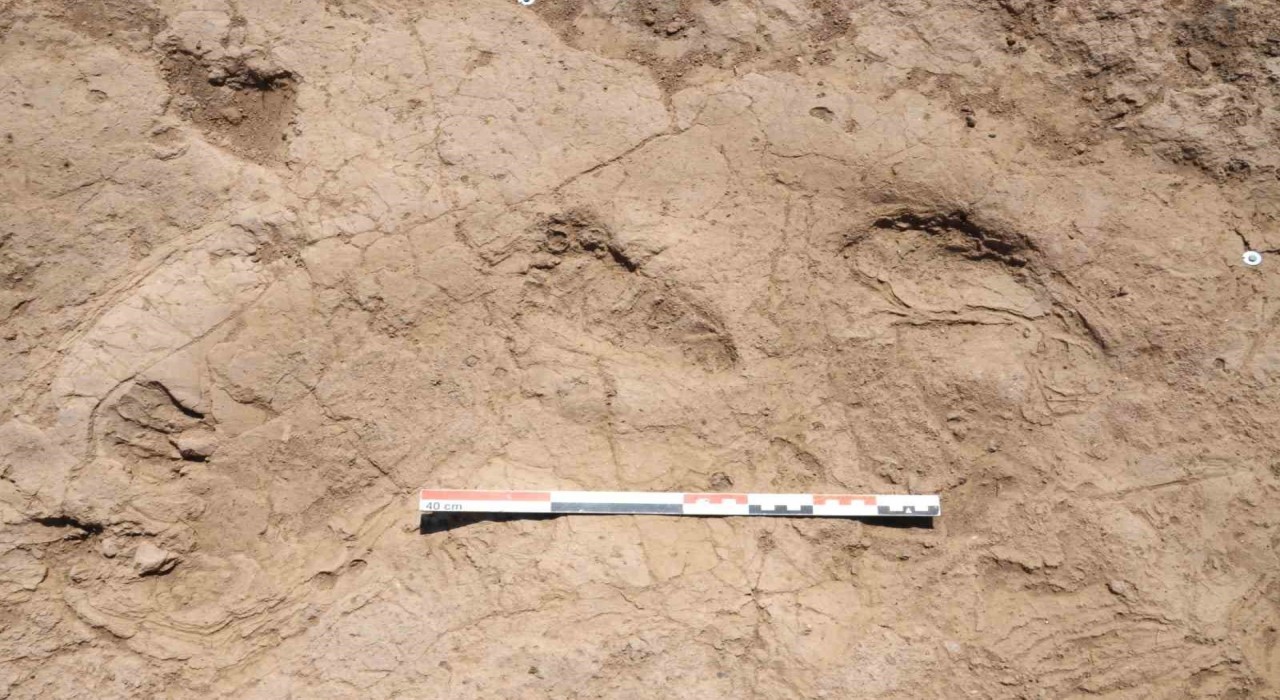 Bakan Ersoy: 7 bin yıl öncesinden günümüze uzanan adımlar, Hatayda keşfedildi