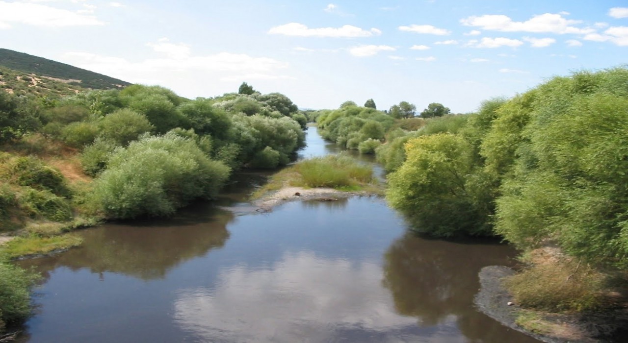 Bakırçay Ovasını kuraklık vurdu
