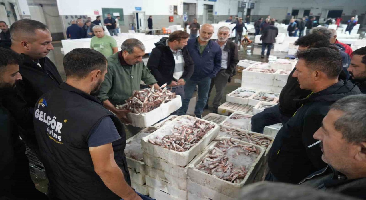 Balık mezadında hareketlilik: Kasalar dolusu balıklar kapışıldı