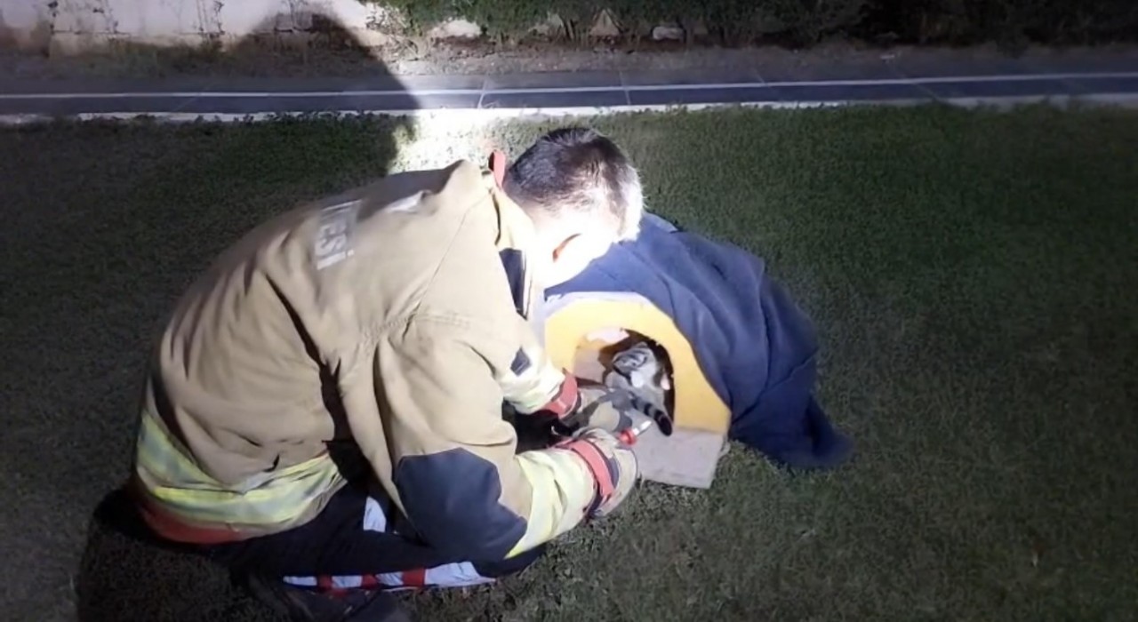 Balık misinasına dolanarak yaralanan kedinin imdadına itfaiye yetişti