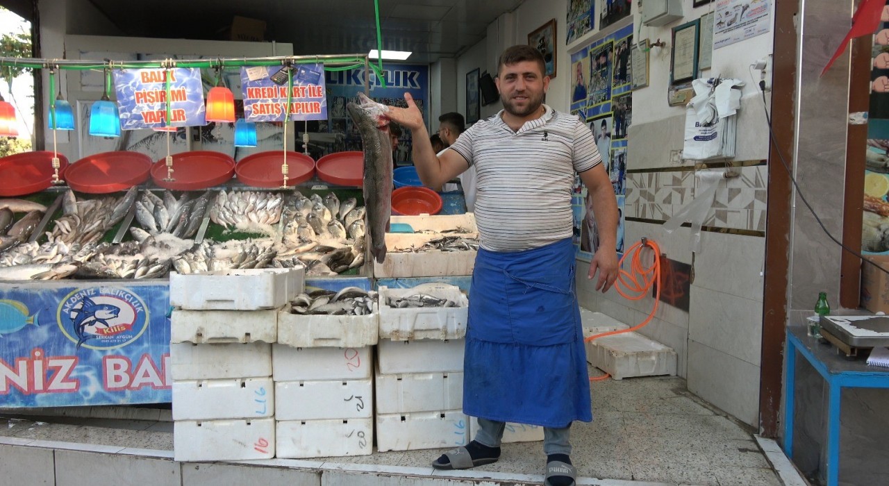Balık sezonu açıldı, halk et ve tavuktan balığa yöneldi