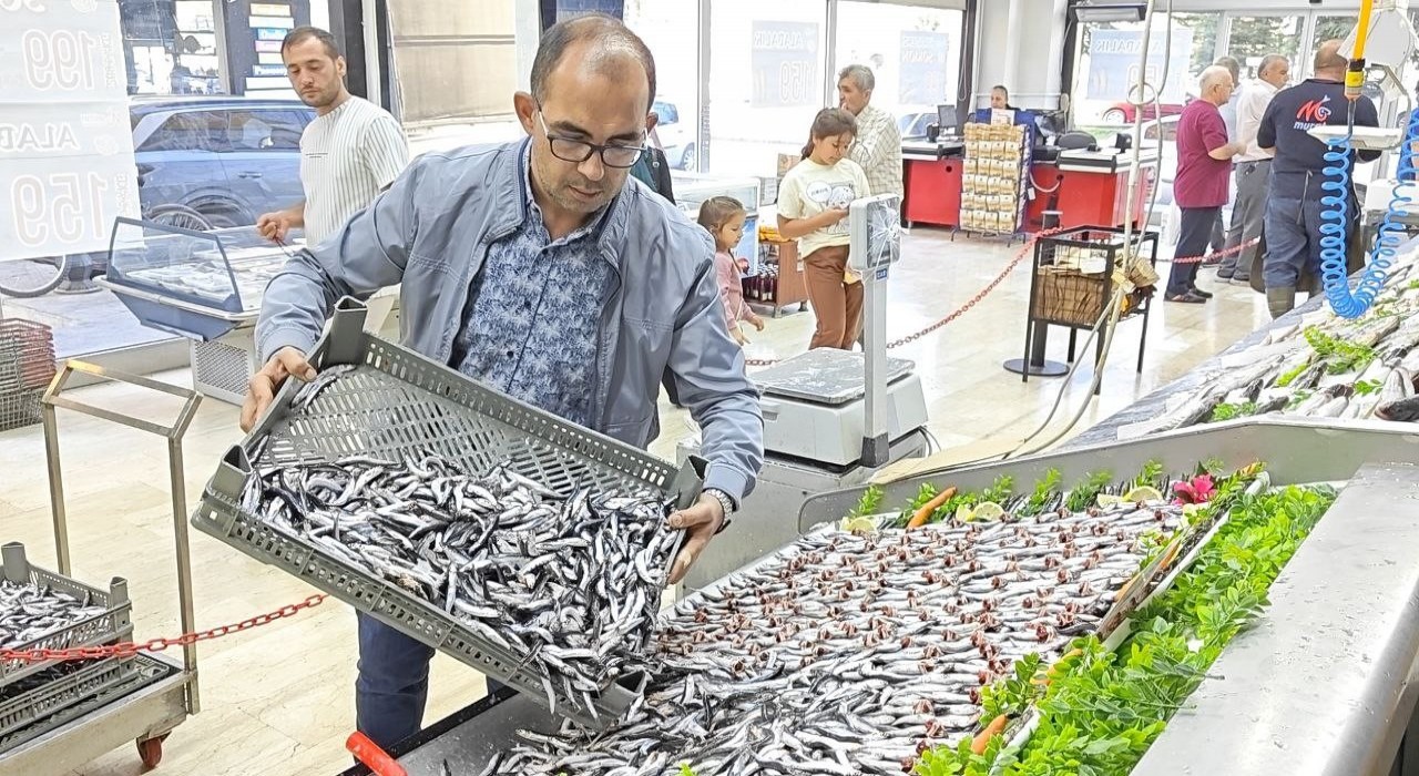 Balık tezgahları şenlendi