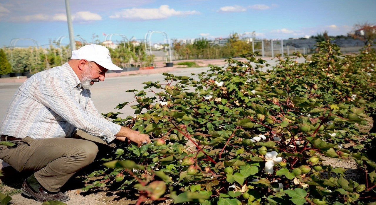 Başkan Çolakbayrakdar: Türkiyenin en kapsamlı fidanlığıyla Kayserinin yeşil dokusu zenginleşiyor