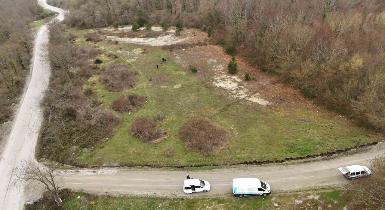 Başkan Yardımcısı Yıldız: Bu hayvanlar, can dostlarımız