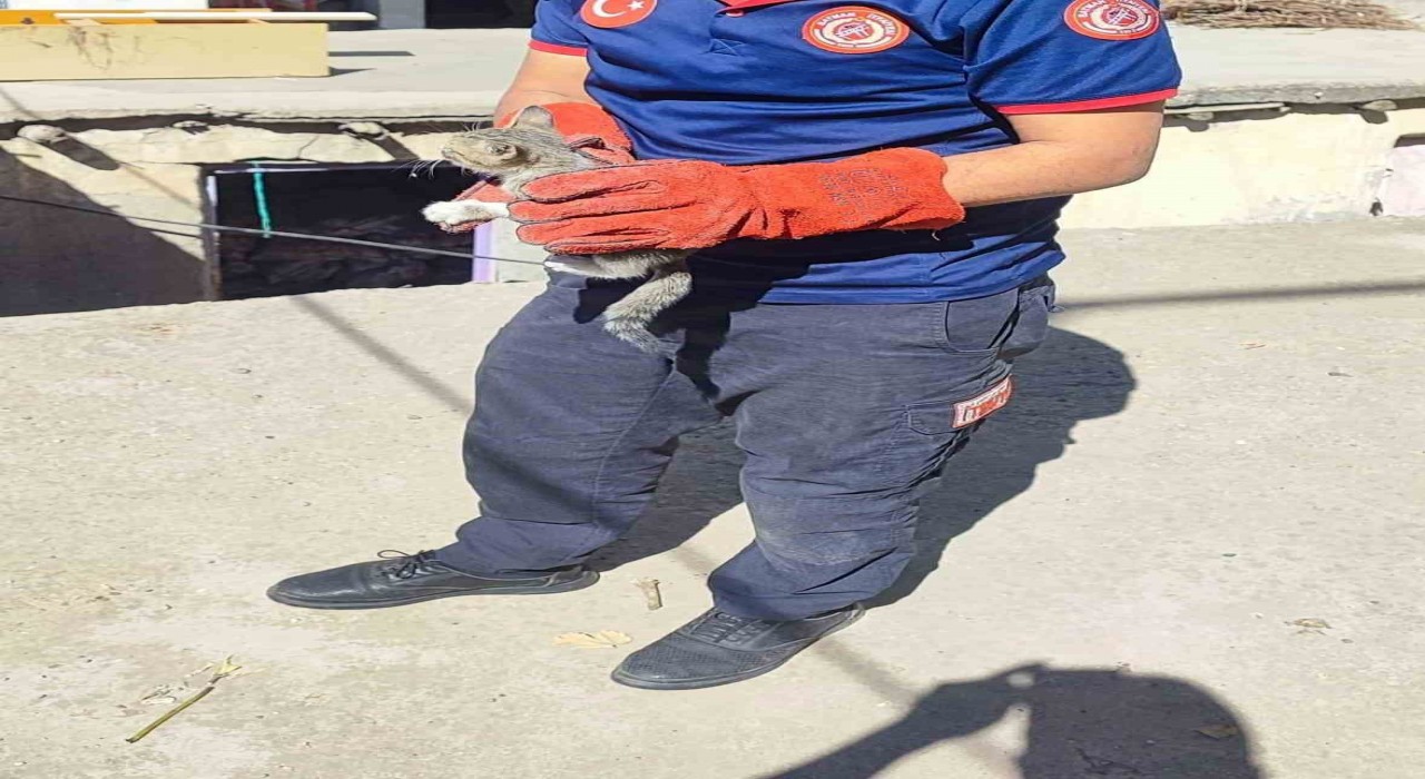 Batmanda duvar arasına sıkışan kediyi itfaiye kurtardı