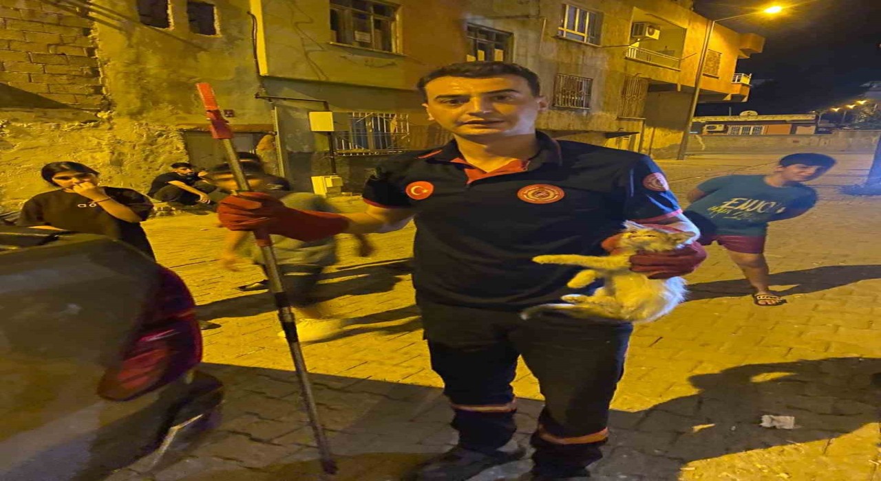 Batmanda pano içinde mahsur kalan kedileri itfaiye ekipleri kurtardı