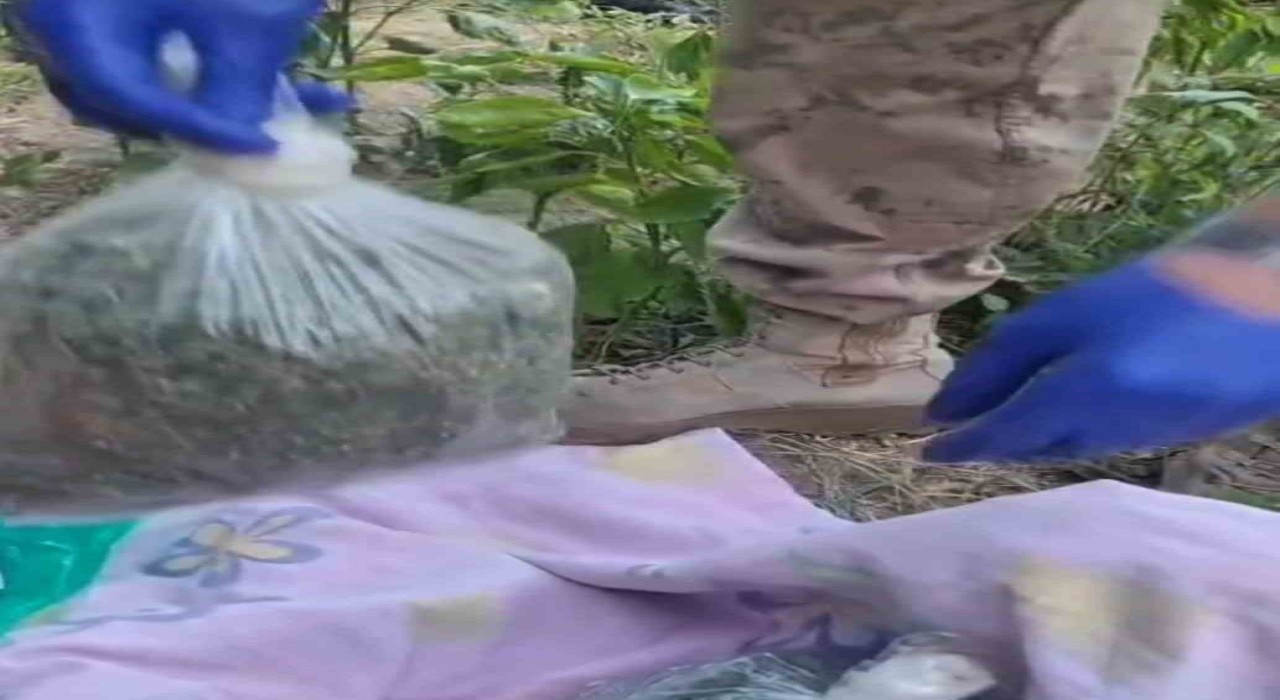 Batmanda uyuşturucu operasyonu: 1 tutuklama