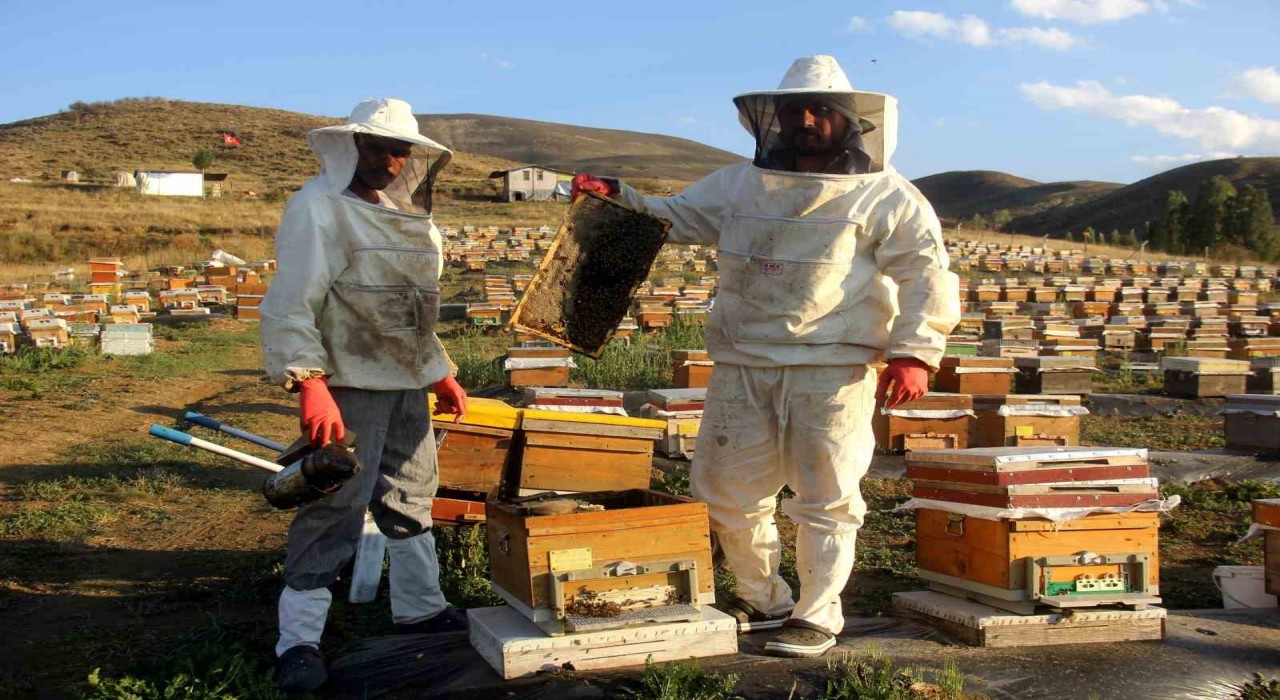 Bayburtta arıcıların bal hasadı sürüyor