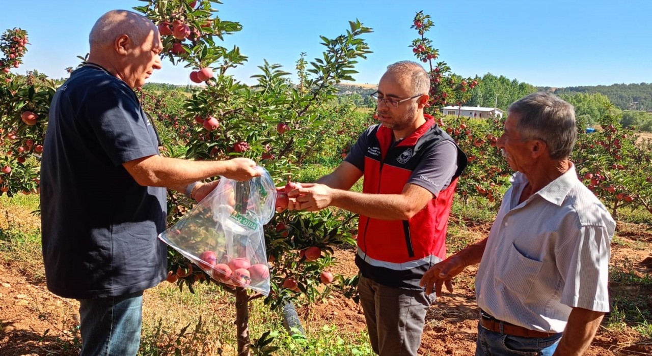 Beyşehirde hasat öncesi pestisit denetimleri