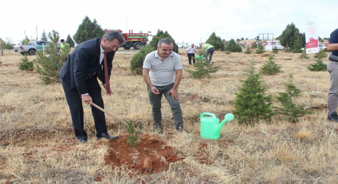 Beyşehirde İlköğretim Haftasında fidanlar toprakla buluşturuldu