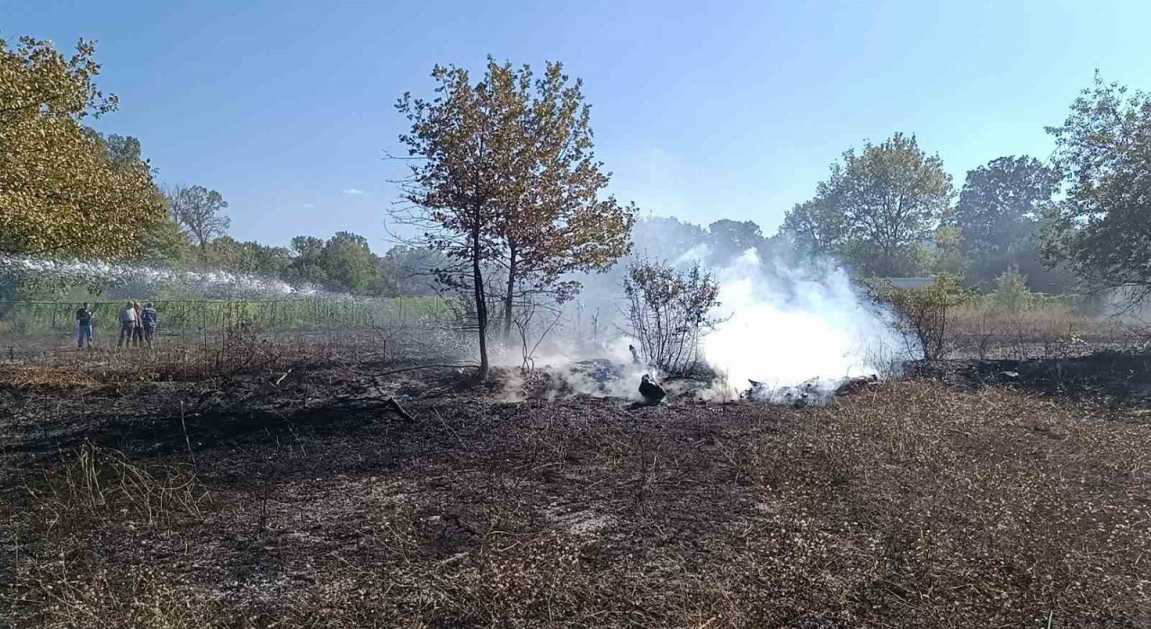 Bilecik Pazaryerinde arazi yangını çıktı