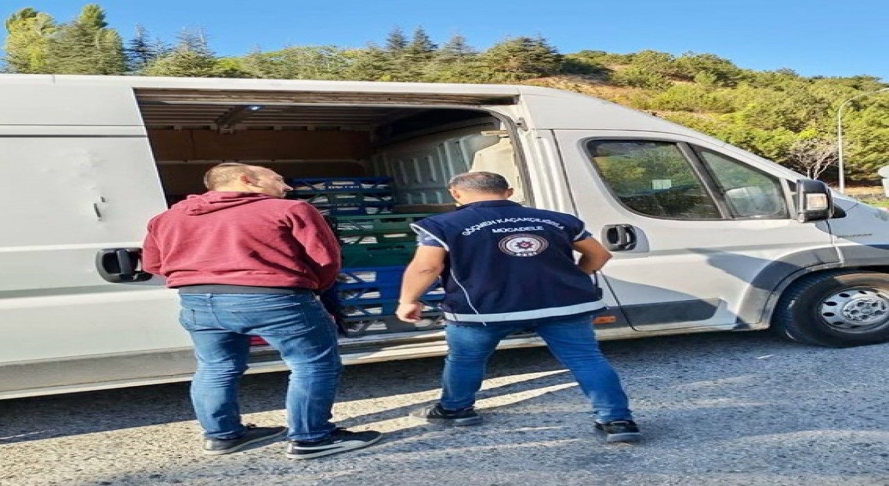 Bilecikte düzensiz göç denetimi