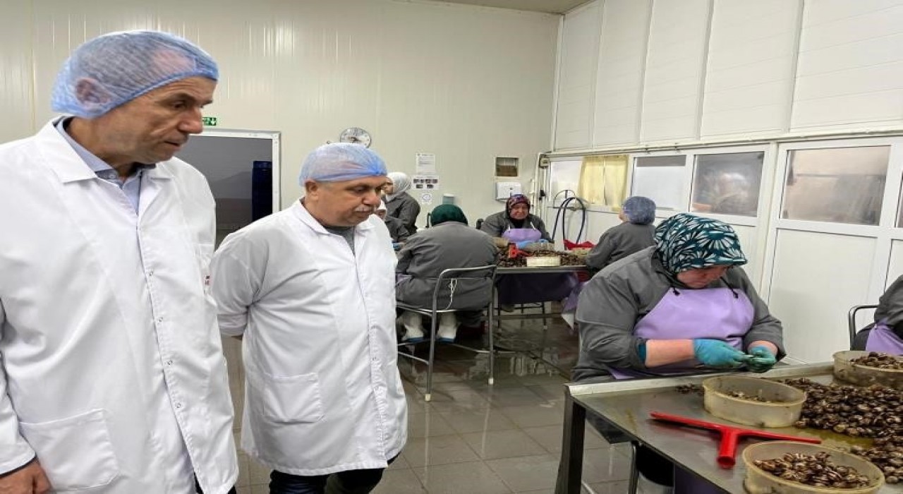 Bilecikte kırsal kalkınma yatırımlarına destek sürüyor