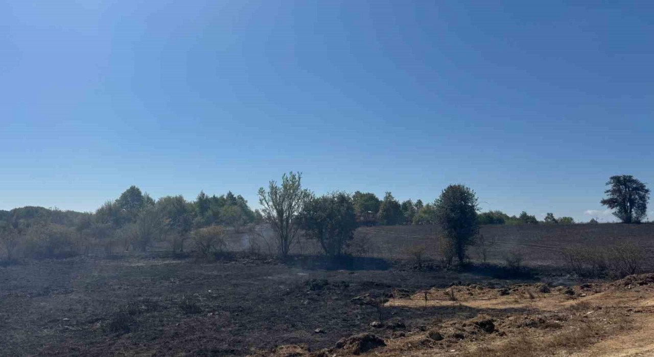 Bilecikte yaşanan anız yangınında 2 hektar alan kül oldu