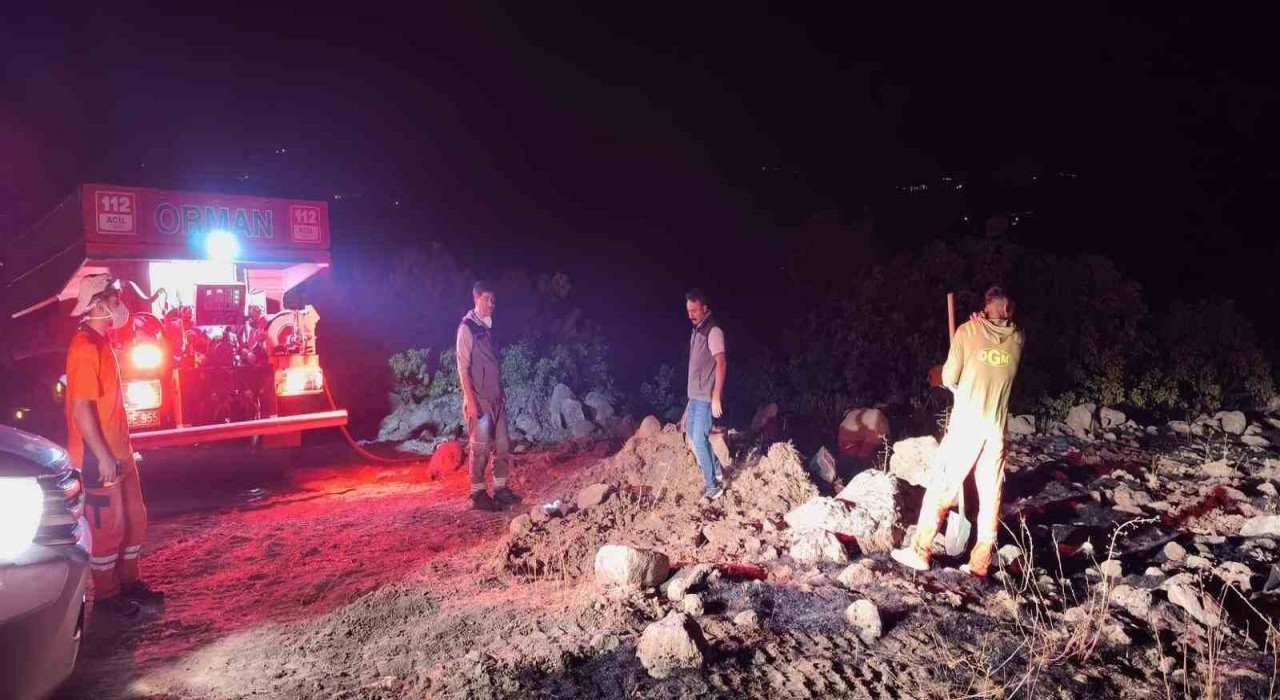 Bingölde çıkan orman yangınları kontrol altına alındı