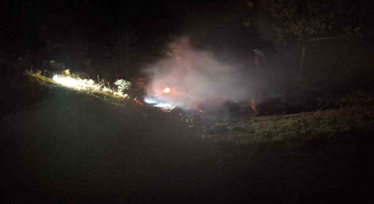 Bingölde çıkan yangın söndürüldü