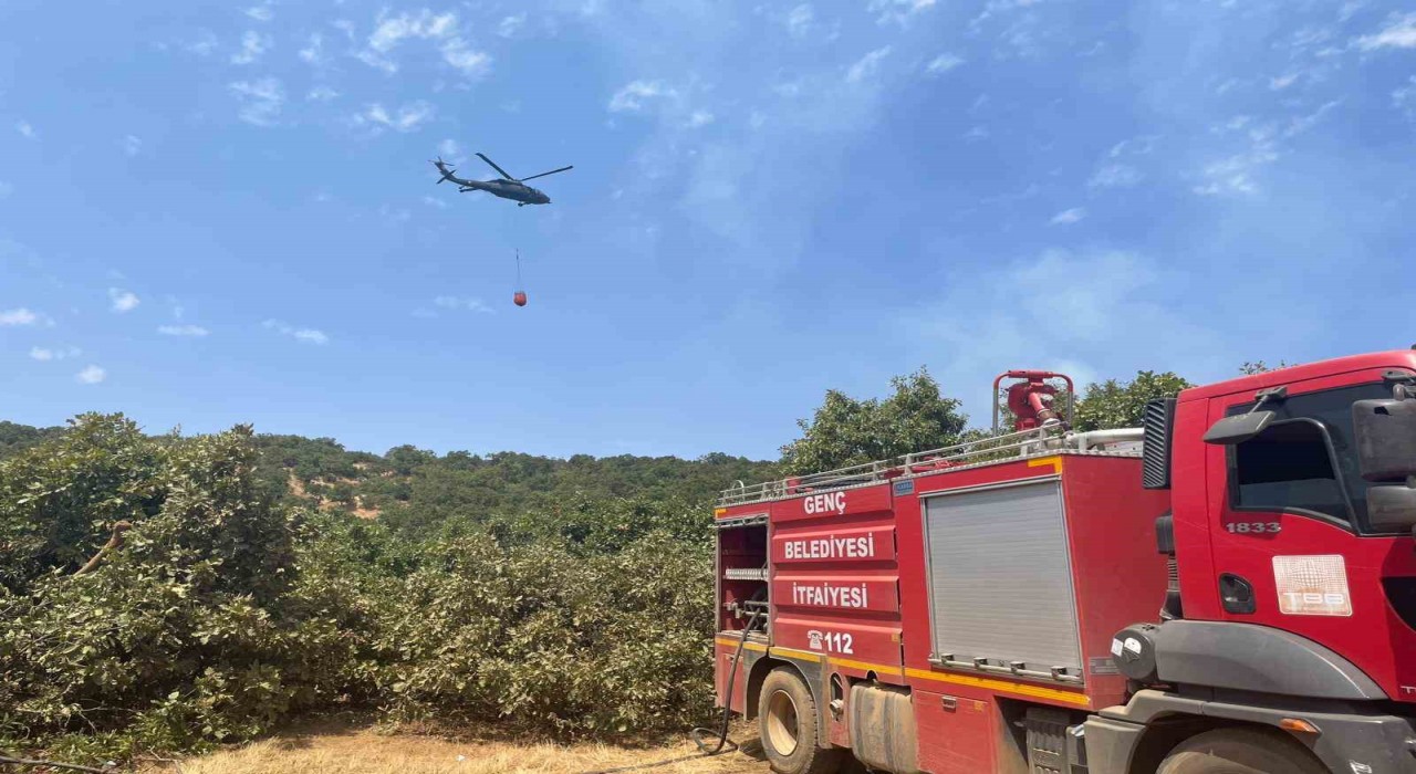 Bingölde orman yangını: Havadan karadan müdahale sürüyor