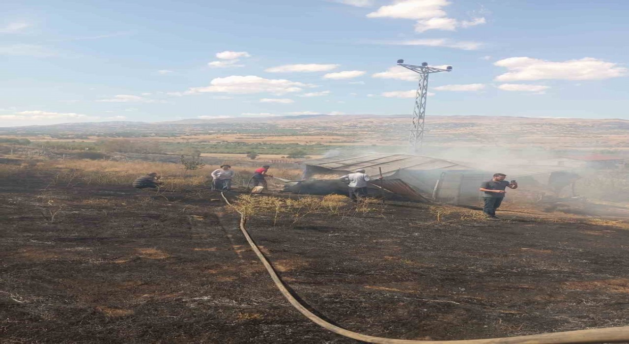 Bingölde örtü yangını