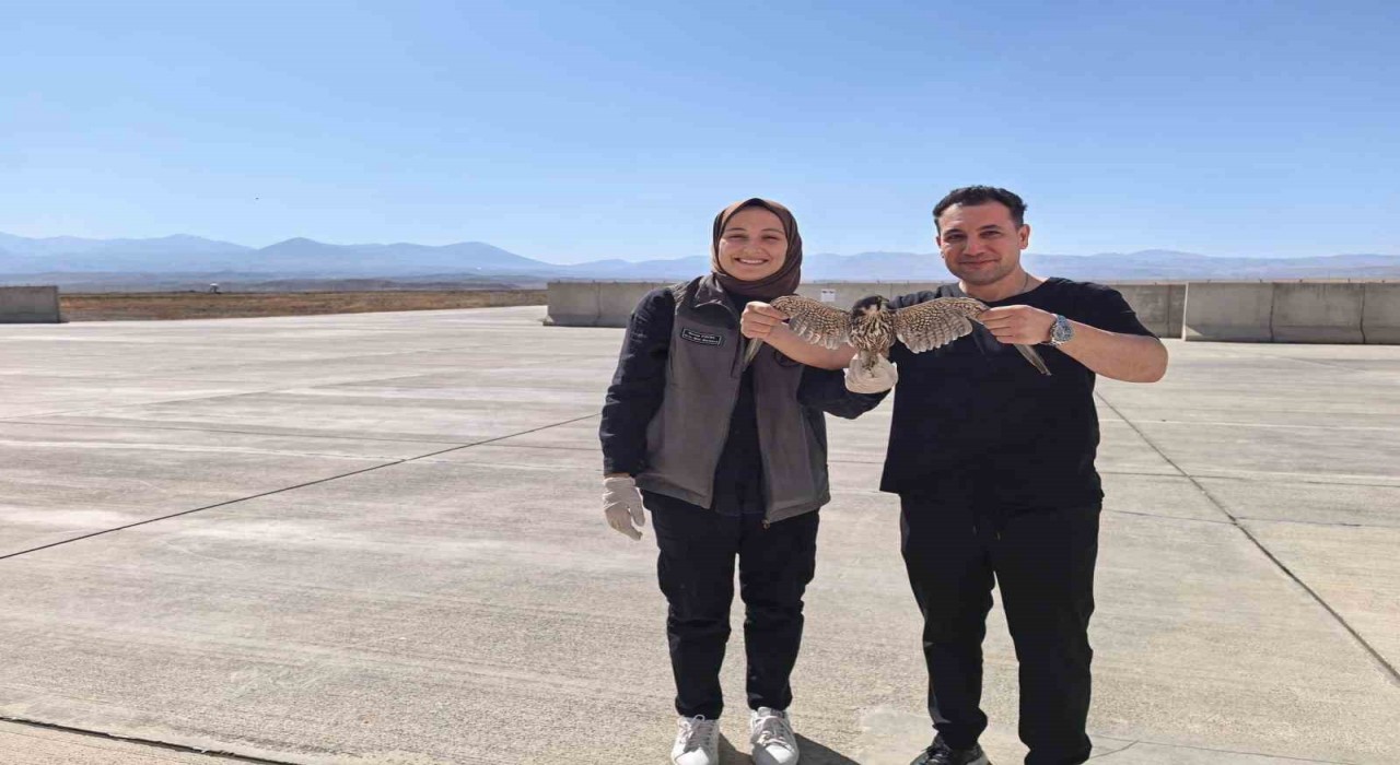 Bitkin halde bulunan yaralı Delice Doğan tedavi altına alındı