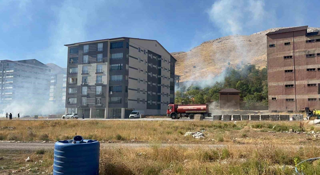Bitliste çıkan yangın ağaçlara zarar verdi