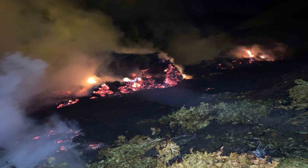 Bitliste çıkan yangında ot yığınları kül oldu