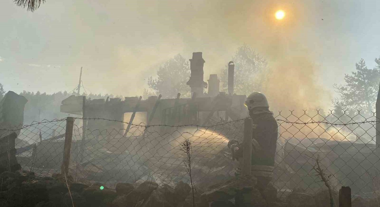 Boluda 12 yapıyı kül eden yangın kundaklama çıktı: Şüpheliler itiraf etti