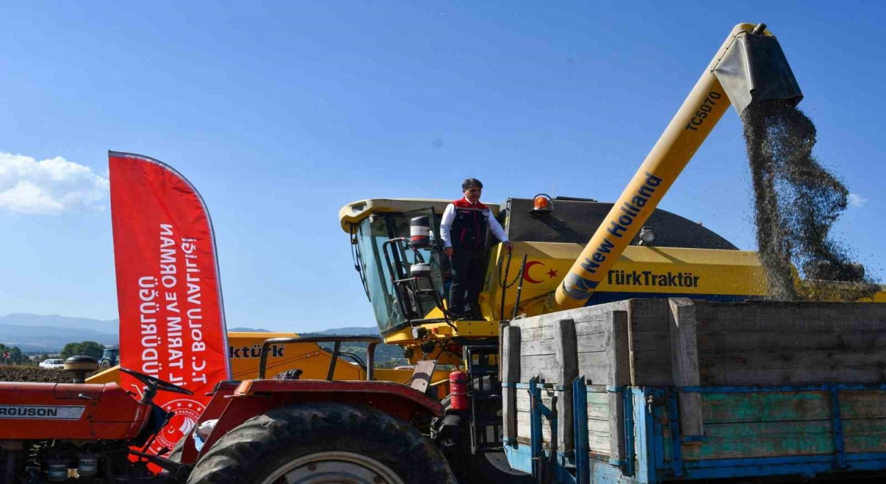 Boluda 23 bin 500 dekarda ayçiçek hasadı başladı