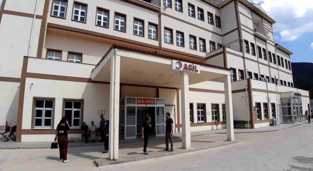 Boluda ayı saldırısında 1 kişi yaralandı: Saldırı sonrası av kararı