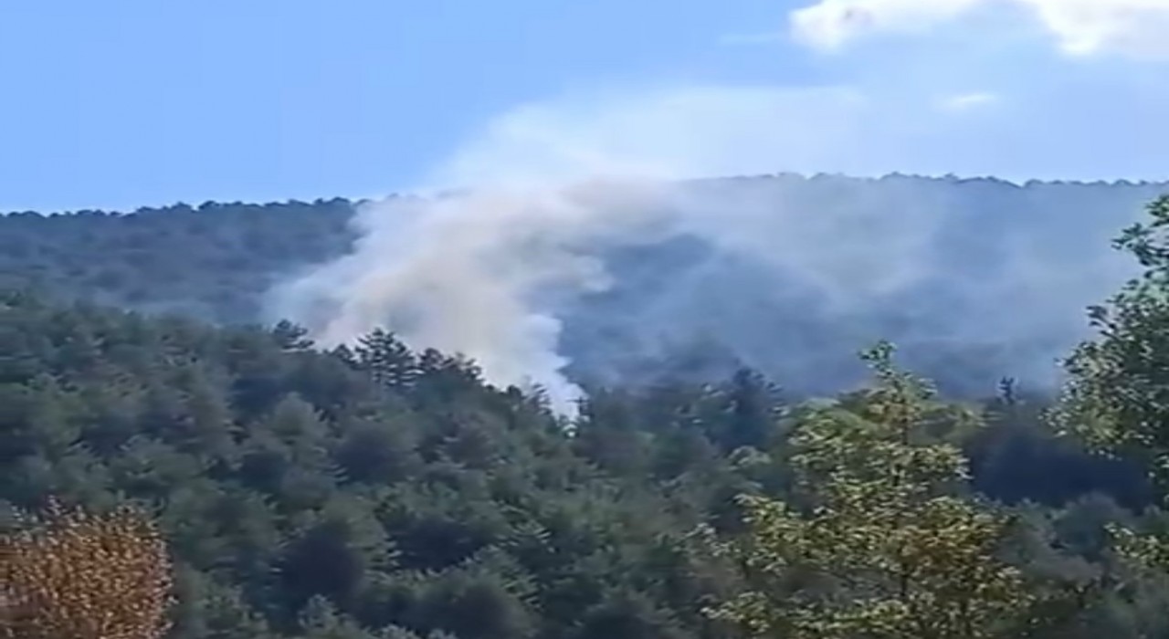 Boluda çıkan orman yangını kısa sürede söndürüldü