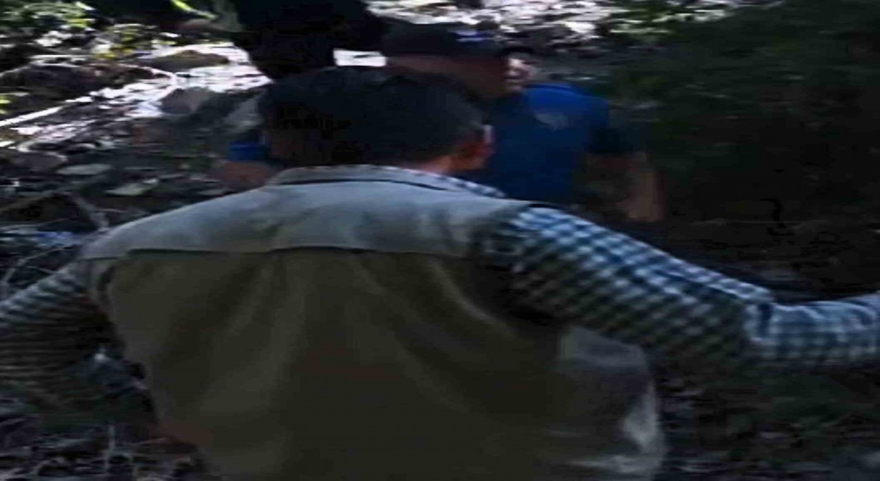 Boz ayı avlayan iki avcı fotokapana yakalandı