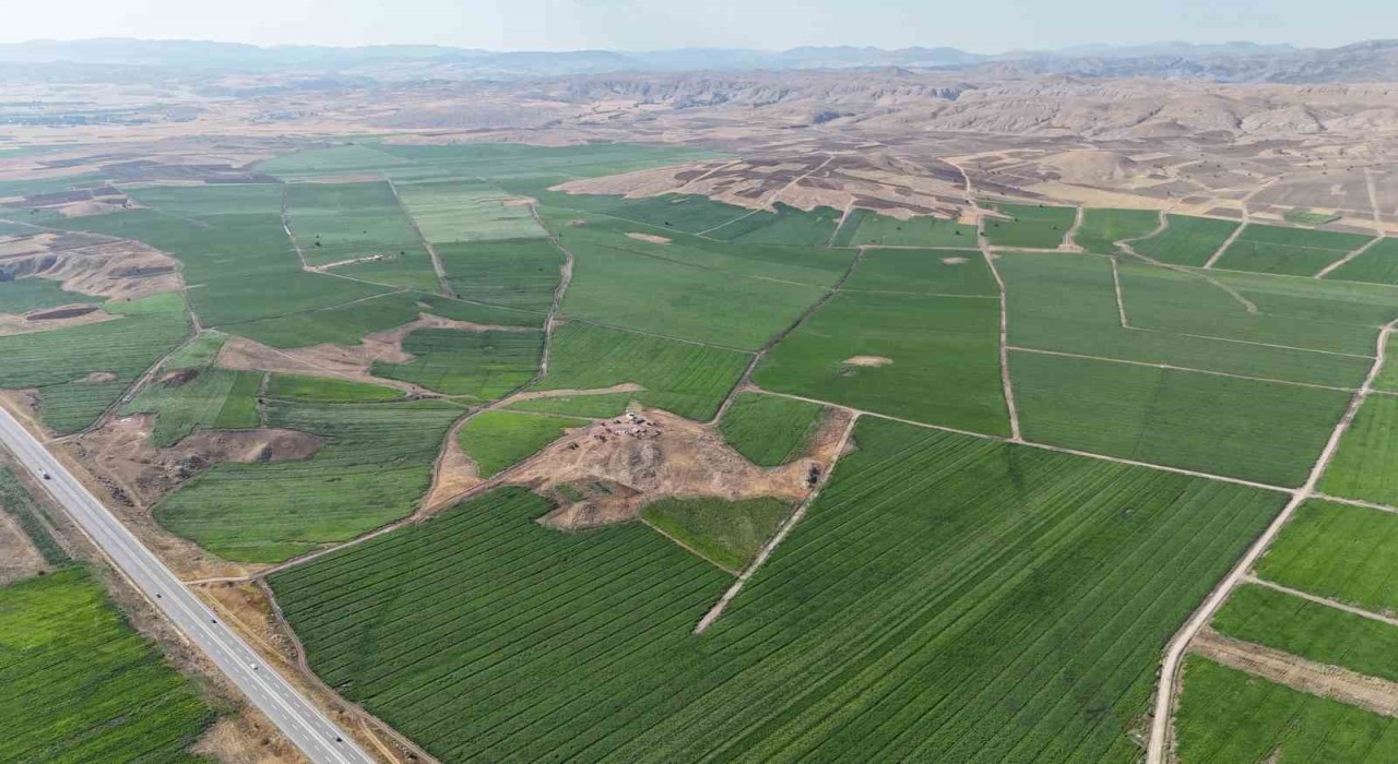Bozkır yeşerdi, 110 bin dekar alanda yapılan patates ekimi ile 460 bin ton rekolte bekleniyor
