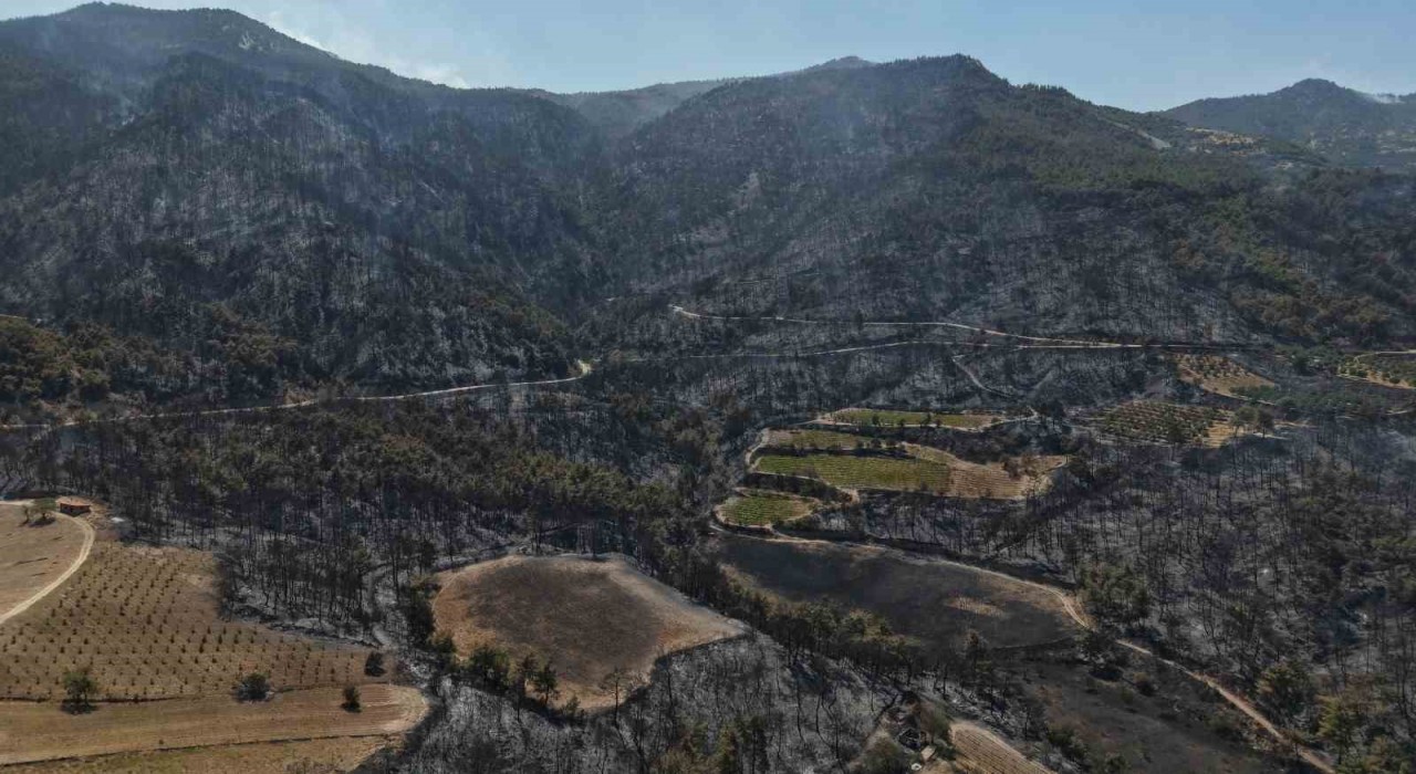 Buldanda zorlu şartları yangına müdahaleyi güçleştiriyor